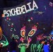 Psychedelia  The Spot Gym