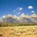 Grand Teton Solo