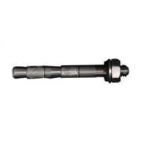 Stainless Steel Wedge Bolt 3/8 x 3.5