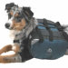 Ruff Rider Dog Pack